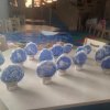 IMG_20190116_122837[1]
